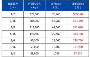 林德伟特为您阐述阀蒸汽泄漏及故障分析